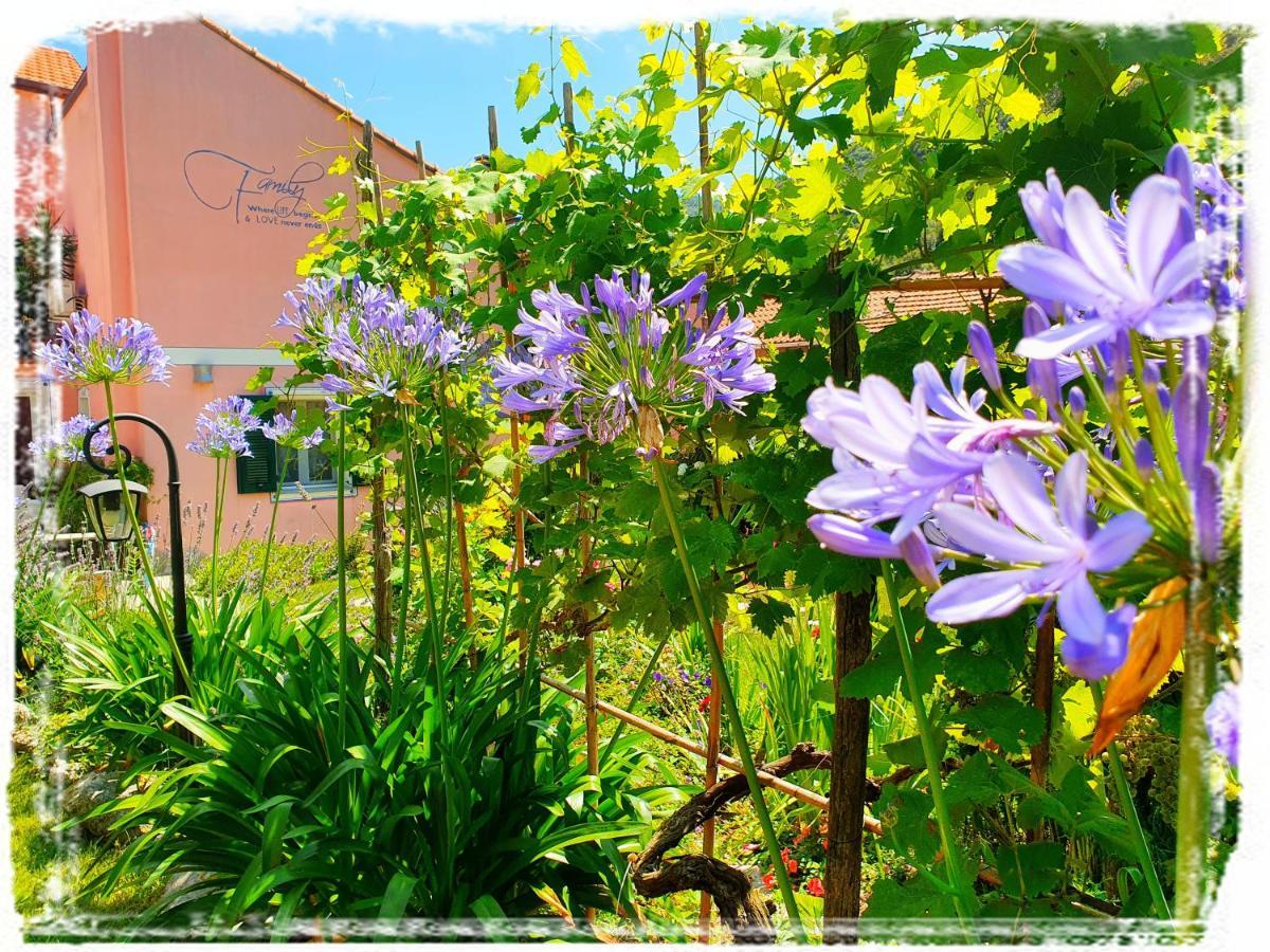 Casa Vacanze Family Albisola Superiore Exteriör bild