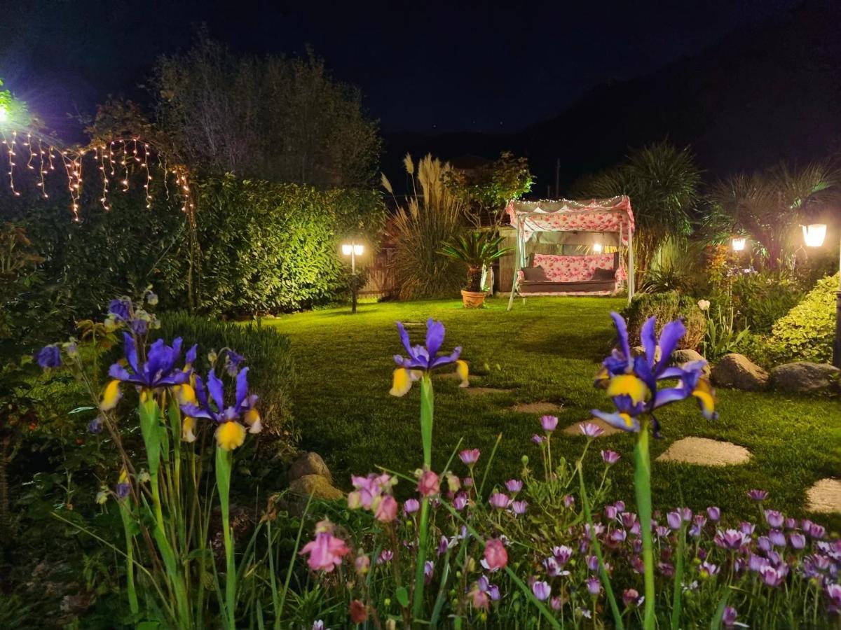 Casa Vacanze Family Albisola Superiore Exteriör bild